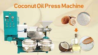 How To Get Cold-Pressed Coconut Oil With Top-Rated Screw Type Coconut Oil Press Machine?