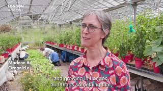 London Assembly Environment Committee visit to OrganicLea