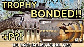 7mm Remington Magnum Trophy Bonded Tip Ballistics Gel Ammo Test