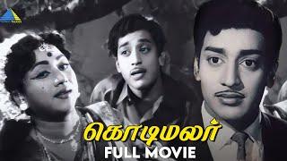 கொடிமலர் ( 1966 ) | Kodimalar | Tamil Full Movie | Muthuraman | R.Vijayakumari | Pyramid Talkies