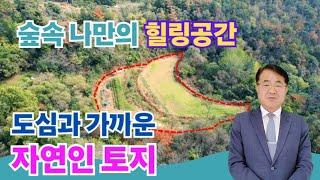 1035 자연인 라이프! 포항 기계면 깊은 산속 농장 8천만원 매물 - 포항부동산