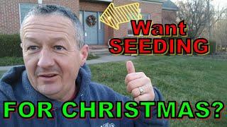 Dormant WINTER LAWN SEEDING might be the best Christmas gift you get next Spring?