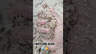 WHITESAND BEACH #trendingshorts #asmr #whitesand #beach #cleanbeach #water