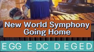 Orff/Xylophone/New world symphony/going home/Music class ideas