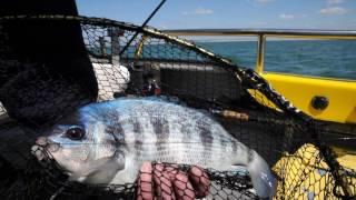 Ep  162 Tim Macpherson, Kingmere Black Bream