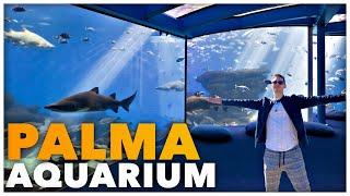 PALMA AQUARIUM - Das größte Haibecken Europas, rießige Korallenfarmen und eine Dschungel