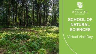 Virtual Visit Day - Introduction to the School of Natural Sciences