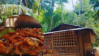 Farm-to-Table: Cooking Katang in the countryside|Countryside life