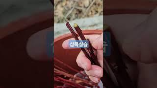 블루베리 삽목실습1) #블루베리삽목하기, 삽목을 위해 도장지를 수집해 삽목하기. #블루베리 #blueberry #gardening