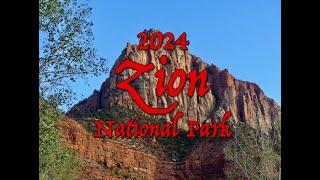 Zion National Park 2024