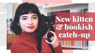 MEET BRANWELL  New kitten, currently reading & my December TBR ‍⬛