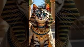 Egyptian Pharaoh Cats Animals
