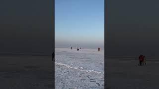 Rann utsav , White Rann of Kutch, Gujarat