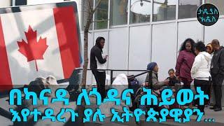 በካናዳ ለጎዳና ሕይወት እየተዳረጉ ያሉ ኢትዮጵያዊያን... || Tadias Addis