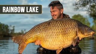 DROOMSESSIE OP RAINBOW LAKE (grote karpers)