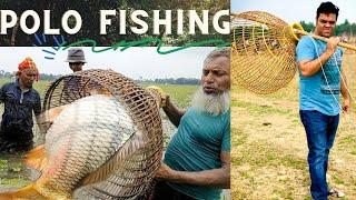 polo fishing ll polo fish ll fish hunting ll Bangladesh