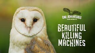 Beautiful Killing Machines | Owl Adventures 2019 | Promotional Video