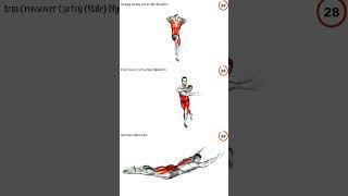 strength workout full body