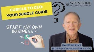  Cubicle to CEO: Your Jungle Guide