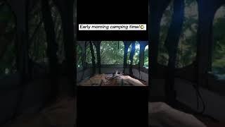 SoLo Camping in Real. Solo Camping in Early Morning #shorts #shortvideo