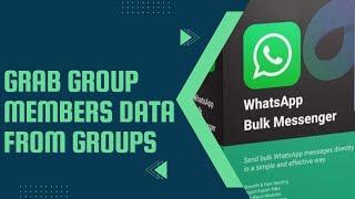 GRAB GROUP MEMBERS DATA FROM GROUPS