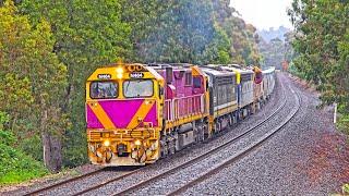 BRUTE POWER! 4 minutes of locomotives working hard up Warrenheip Bank with a grain train