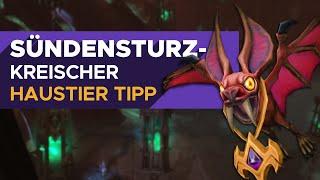 Sündensturzkreischer  - Haustier Tipp [WoW] 9.1