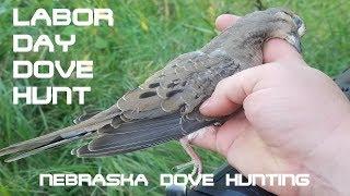 LABOR DAY DOVE HUNT - NEBRASKA DOVE HUNTING