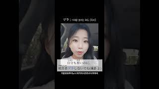  ヅラ(面) : ~처럼 보이는 태도(속어)#일본어 #일본어공부 #일본어독학 #일본어회화 #일본여행 #일본 #일본어능력시험 #일본생활