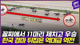 마지막 300m 남기고 꼴찌로 달리던 말이 갑자기!!!