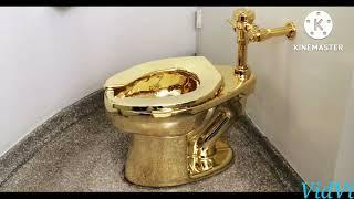 Nita Ambani's Golden Toilet | Mukesh Ambani's Laxarius Toilet | VidVi