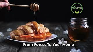 Organic Wild Forest Honey From Royalganic