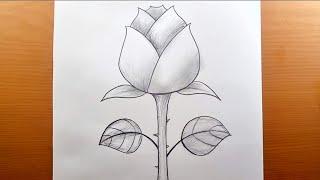 Comment dessiner des roses facilement - Dessin de roses étape par étape -  Dessin au crayon