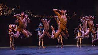 Carmina Burana (Ballet du Grand Théâtre ) - Teaser