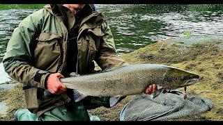 Salmon Spinning Fishing In Scotland. River Tay