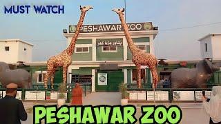 Peshawar Zoo || Wild Animals In Peshawar Zoo || Latest Video On Peshawar Zoo