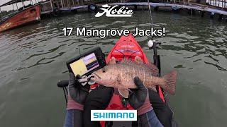 Episode 25 - 1hr = 17 Fishes
