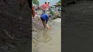 #fishing#castnetfishing#fish#asianfishing#shorts#Ep27