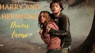 Harry Potter and Hermione Granger  - Drivers License