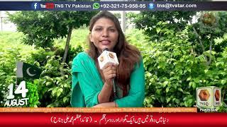 14th August Pakistan Independence day Massage 06 | Tns TV Pakistan