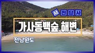 [사전답사] 가사동백숲 해변 ㅣ 전남 완도 (with Clova Dubbing)