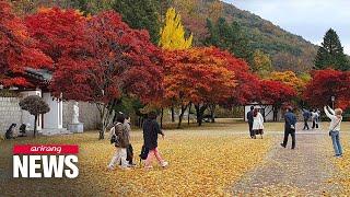 S. Korea's spectacular autumn foliage: Enjoying Yongmunsan Mountain near Seoul