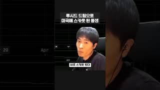루시드 드림으로 만든 무기로 미국에 스카웃 당한 동생