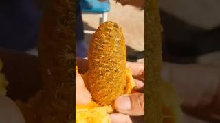 Yellow Exotic Fruit, Like Passion Fruit  #shorts #youtubeshorts #shortsvideo