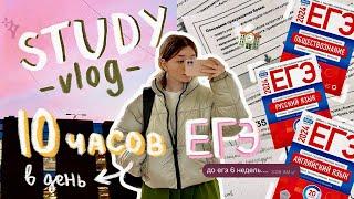 *STUDY vlog*: 40 дней до ЕГЭ... // как все успевать? ‧₊˚⊹