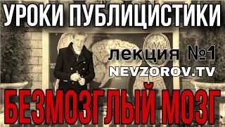 Уроки публицистики. Лекция № 1 . Безмозглый мозг.