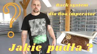 RackSystem czy terrarium dla Boa?  boa imperator , Boa cesarski , Boa constrictor , Boa dusiciel.