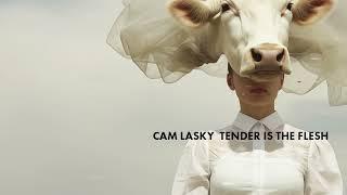 Cam Lasky - Slavely (Original Mix) | TENDER IS THE FLESH pt.2 | KWAIOTO  Records