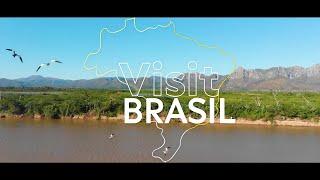 Explore the Majestic Nature in Brazil