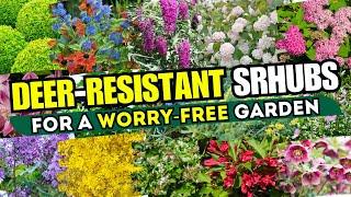  NO MORE BROWSING! Top 15 Deer-Resistant Shrubs for a Worry-Free Garden! 